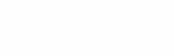 тмх тм, ООО "ТМХ ТМ", логотип